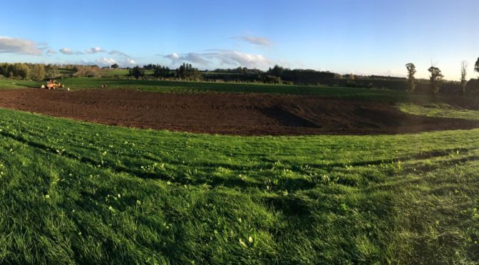 Owl Farm Wetland Construction