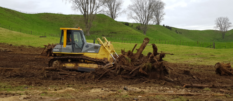 Read more about the article Tapapa – Roading & Logging